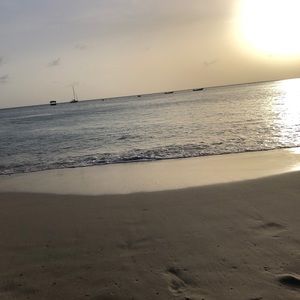 Meet your Posher, Alanna